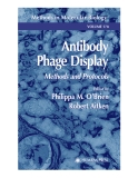 Antibody Phage Display Methods and Protocols