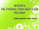 HỆ THỐNG TINH BỘT CỦA HỌ ĐẬU