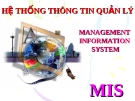 Hệ thống thông tin quản lý: MIS