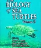The BIOLOGY of SEA TURTLES Volume II