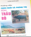 Phòng trị bệnh ở trâu bò và cách hướng dẫn chăn nuôi