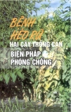 Bệnh héo rũ hại cây trồng cạn và biện pháp phòng chống