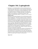 Chapter 164. Leptospirosis 