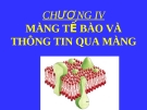 Mang tế bào và thông tin qua màng