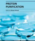 Protein Purification