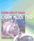 Kỹ thuật chăn nuôi thỏ cho năng suất cao