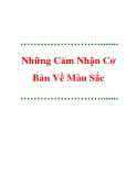 Những Cảm Nhận Cơ Bản Về Màu Sắc