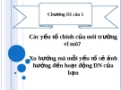 Các yếu tố chính của môi trường vĩ mô