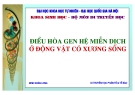 Điều hòa gen hệ miễn dịch ở động vật có x-ơng sống