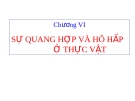 Chương 6: sự quang hợp và hô hấp ở thực vật