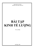 CÁC BÀI TẬP KINH TẾ LƯỢNG