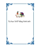 Tự học SAP bằng hình ảnh