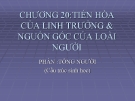 Chương 20 TIẾN HÓA CỦA LINH TRƯỞNG & NGUỒN GỐC CỦA LOÀI NGƯỜI - PHẦN :TÔNG NGƯỜI