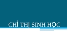 Chỉ thị sinhh học