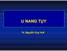 U nang tụy