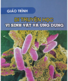 Giáo trình Di truyền học: Vi sinh vật và ứng dụng - Hoàng Trọng Phán (chủ biên)