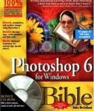 Photoshop 6 for Windows® Bible