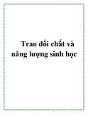 Kiến thức về Trao đổi chất và năng lượng sinh học