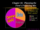 Financial Management - Chapter 16