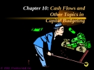 Financial Management - Chapter 10