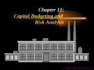 Financial Management - Chapter 11