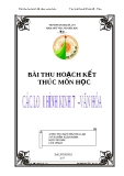 BÀI THU HOẠCH KẾT THÚC MÔN HỌC : các loại  hình văn hóa kinh tế