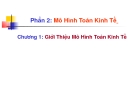 Bài giảng Mô hình toán kinh tế