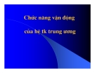 Chức năng vận động của hệ thần kinh trung ương