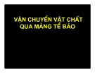 Vận chuyển vật chất qua màng tế bào