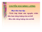 Bài giảng chuyển hóa năng lượng