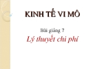 Kinh tế vi mô - Lý thuyết chi phí