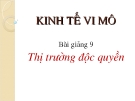 Kinh tế vi mô - Thị trường độc quyền