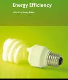 Energy Efficiency