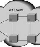 Quá tính toán thành định nghĩa về những thiết bị trình hình máy tính trong mô hình cấu tạo mạng LAN và  WAN