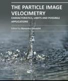 THE PARTICLE IMAGE VELOCIMETRY – CHARACTERISTICS, LIMITS AND POSSIBLE APPLICATIONS
