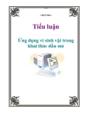 Tiểu luận: Ứng dụng vi sinh vật trong khai thác dầu mỏ