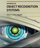 ADVANCES IN OBJECT  RECOGNITION SYSTEMS