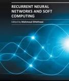 RECURRENT NEURAL NETWORKS AND SOFT COMPUTING