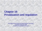 Chapter: Privatization and regulation
