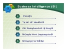 Business Intelligence (BI)