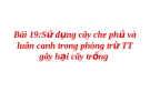 Sử dụng cây che phủ và luân canh trong phòng trừ TT gây hại cây trồng