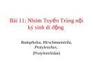 Nhóm tuyến trùng nội ký sinh di động