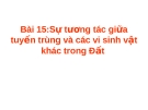 Sự tương tác giữa tuyến trùng và các vi sinh vật khác trong Đất