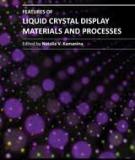 FEATURES OF LIQUID CRYSTAL DISPLAY MATERIALS AND PROCESSES