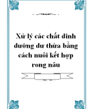 Báo cáo khoa học: Xử lý các chất dinh dưỡng dư thừa bằng cách nuôi kết hợp rong nâu 