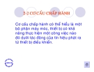 Cơ cấu chấp hành