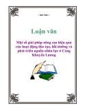 Luận văn: Một số giải pháp nâng cao hiệu quả của hoạt động đào tạo, bồi dưỡng và phát triển nguồn nhân lực ở Cảng Khuyến Lương