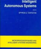 Advances in Intelligent Systems - Concepts, Tools and Applications