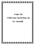 Luận văn: Chiến lược marketing của Công ty Vinamilk