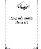 Mạng viễn thông, Mạng IP